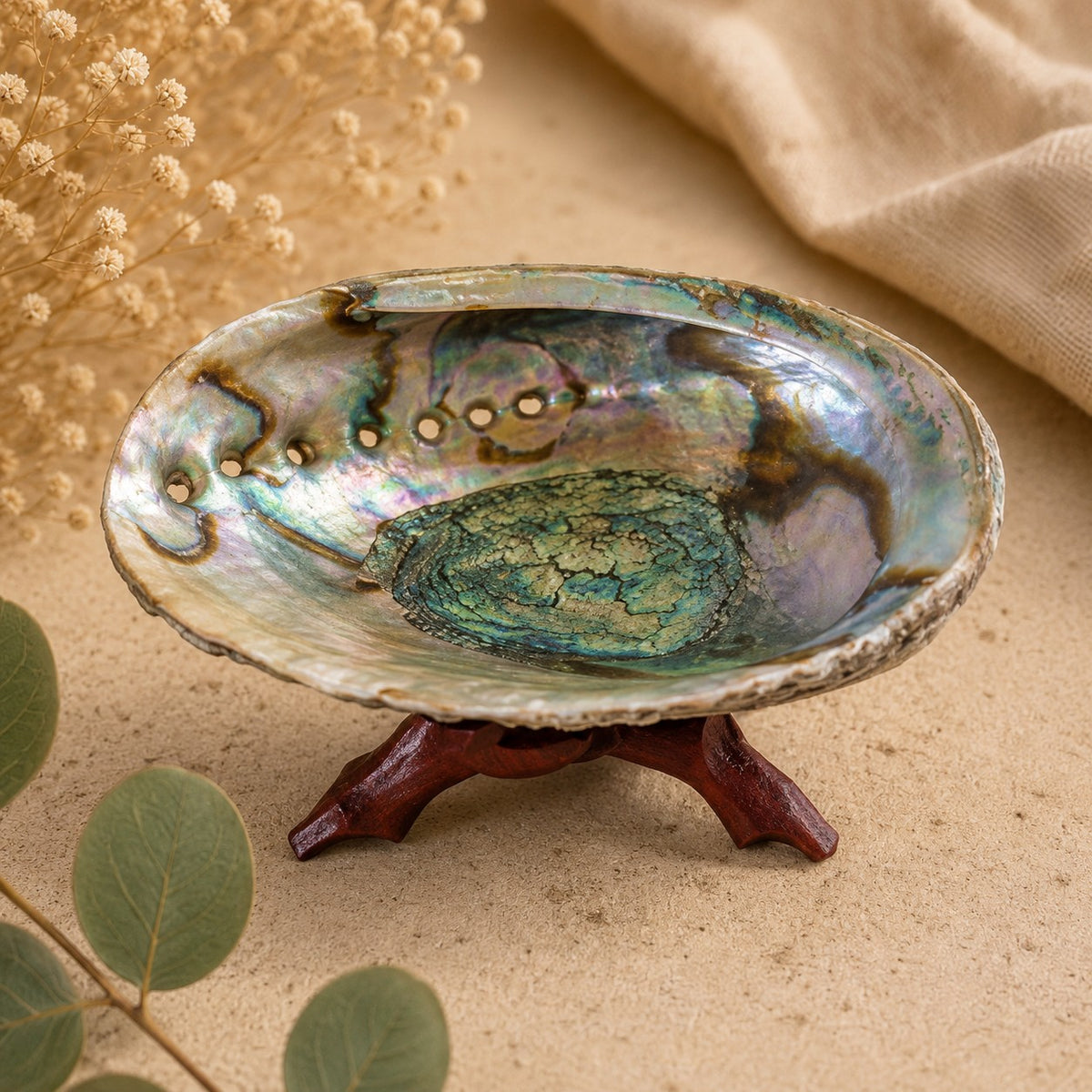 5"–6" Abalone Shell Incense Burner With Stand